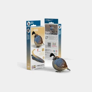 Eugy Quail 129 Puzzle 3D