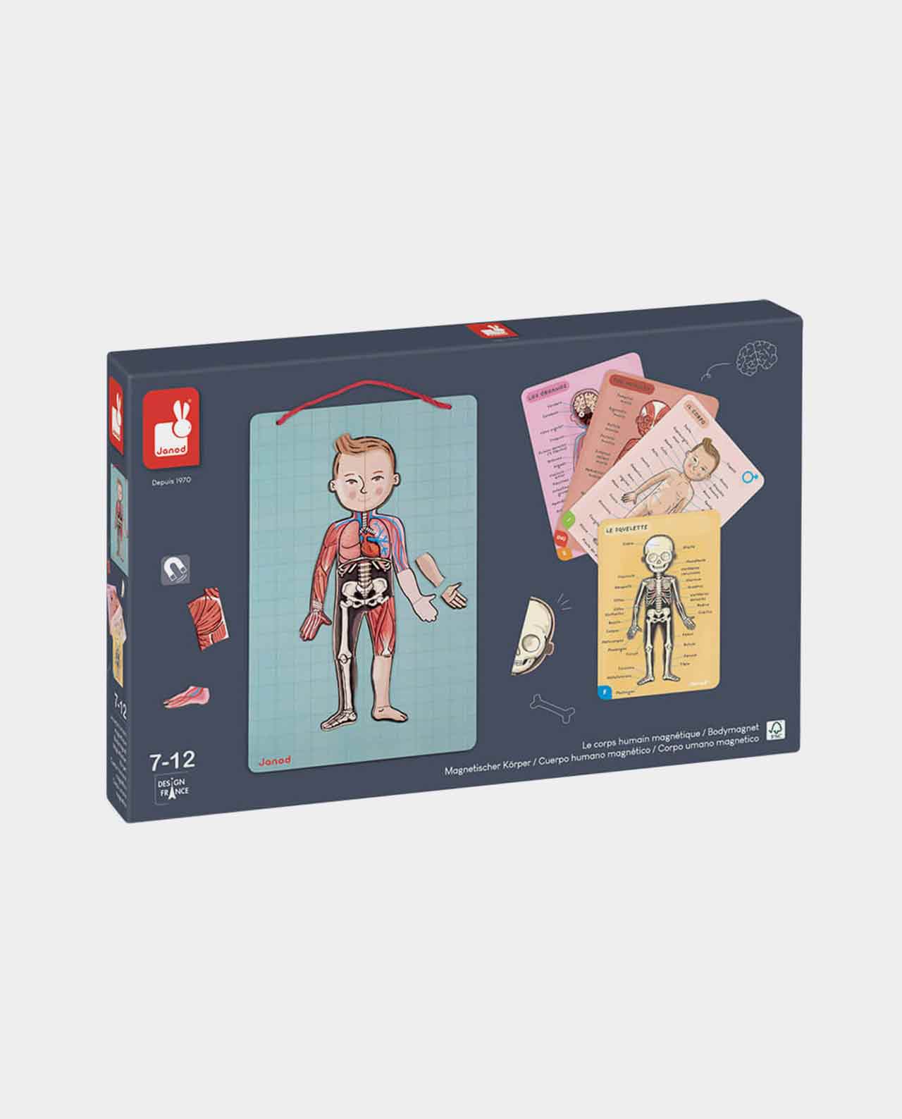 Cuerpo Humano Magnetico JANOD