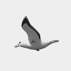 Eugy Royal Albatross 097