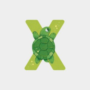 Letra X Verde Moulin Roty