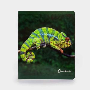 Libro Grande Animales Selva Nowordbooks