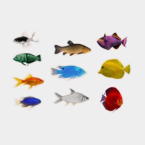 Magnéticos Peces de Colores Nowordbooks