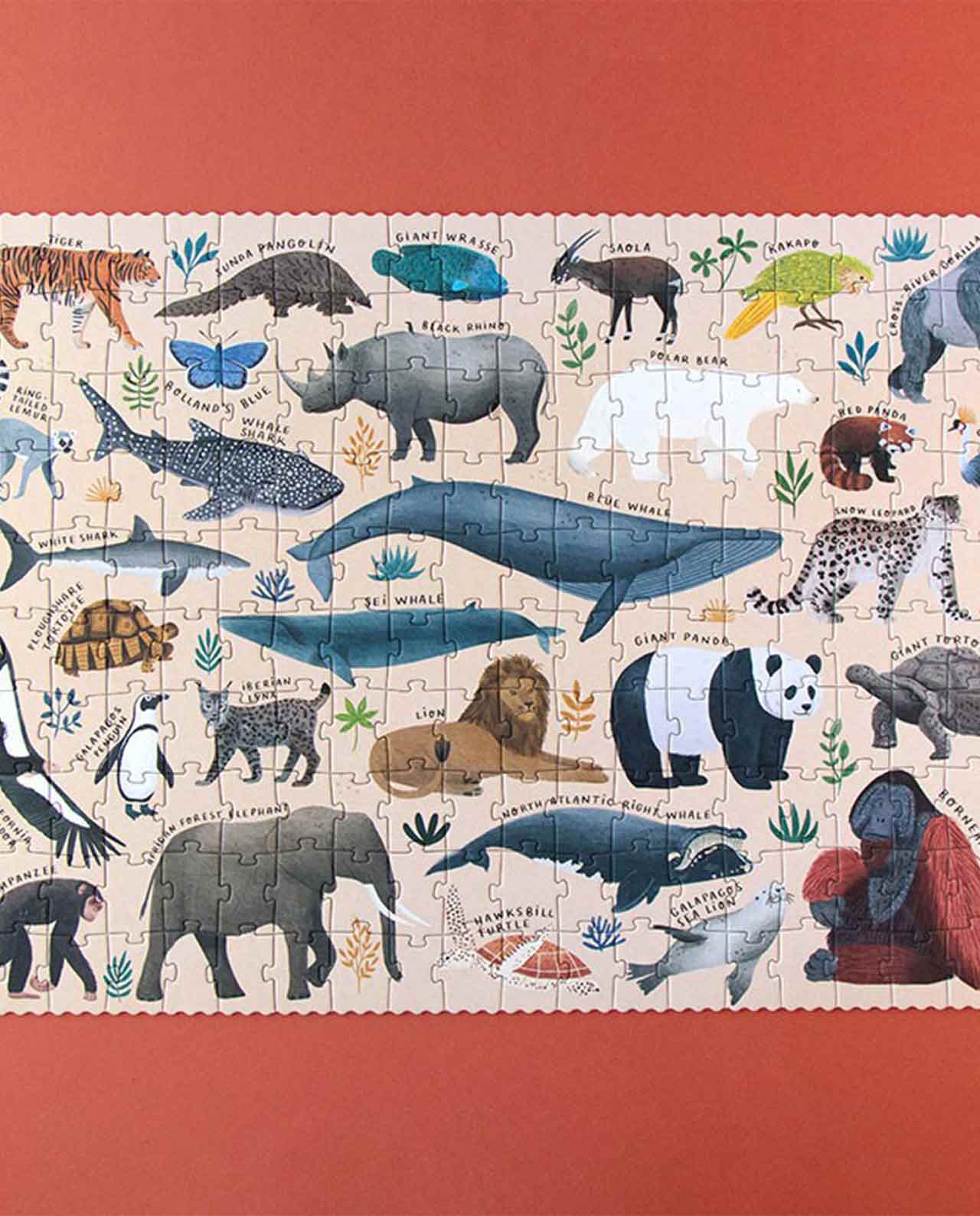 Puzzle Life Londji - Imagen 5