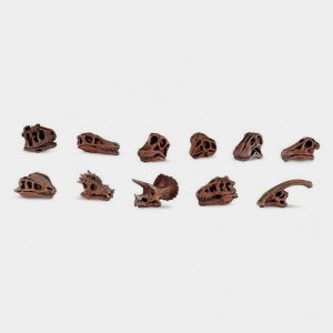 Tubo Miniaturas Cráneos de Dinosaurio – SAFARI
