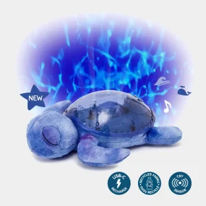 Tortuga Tranquila Oceano Cloud.B